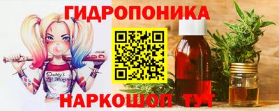 спиды Новозыбков