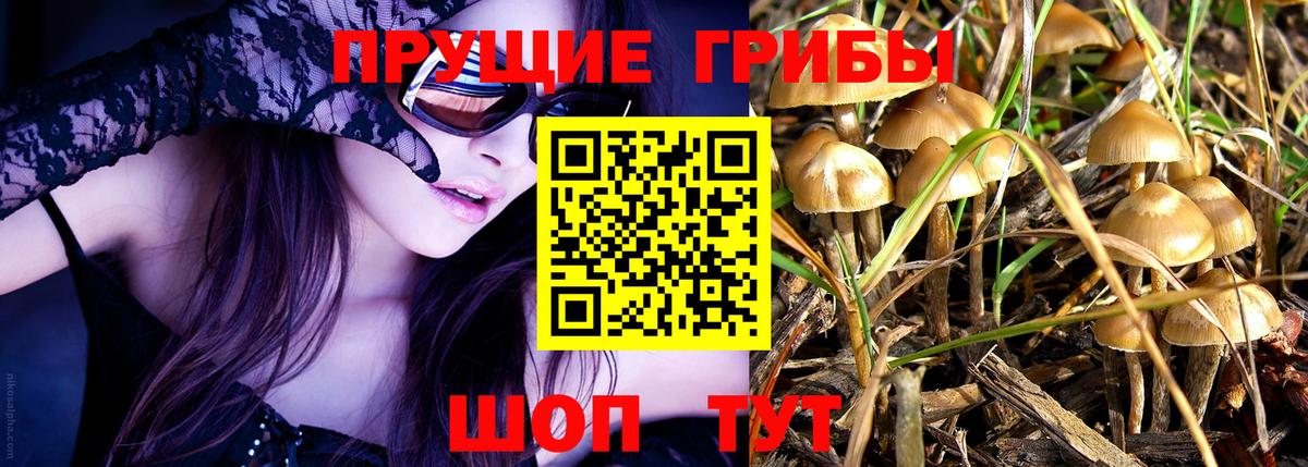 Сыктывкар  Галлюциногенные грибы мухоморы  Вход с VPN 