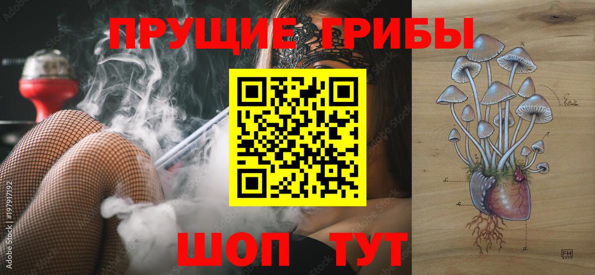 Псилоцибиновые грибы прущие грибы Сыктывкар
